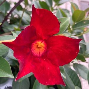 Meet your Posher, Posh